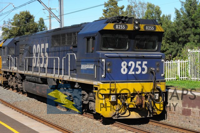 PSC_5861