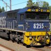 PSC_5861