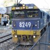 PSC_7497