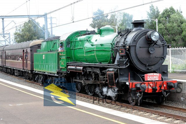 PSC_5917