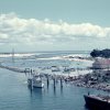 Slide0311.1964
