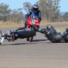 OSC_6688