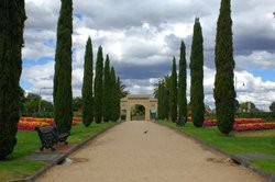 RSC_5900.jpg